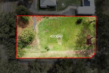 Residential Block For Sale - QLD - Cabarlah - 4352 - Future-Proof Your Lifestyle: Cabarlah Acreage Blank Canvas  (Image 2)