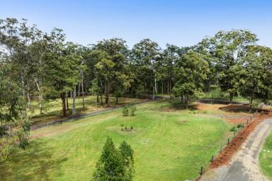 Residential Block For Sale - QLD - Cabarlah - 4352 - Future-Proof Your Lifestyle: Cabarlah Acreage Blank Canvas  (Image 2)