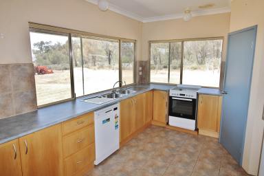 House For Sale - WA - Wagin - 6315 - Farmlet Delight (Home open 27/10/2024)  (Image 2)