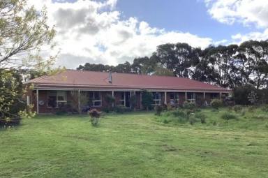 Other (Rural) For Sale - VIC - Haddon - 3351 - 4 Bedroom Family Home; 46 Ha (113.5 Ac); Suit Grazing: Extensive Sheds; Bore  (Image 2)