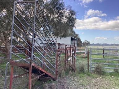 Other (Rural) For Sale - VIC - Haddon - 3351 - 16.2Ha (approx. 40 acres) Grazing Lane; RAZ; Private Location; Power & Town Water  (Image 2)