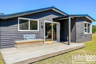 House For Sale - TAS - St Helens - 7216 - Black Gum Cottage - A Sub-Divisible Property in Paradise  (Image 2)