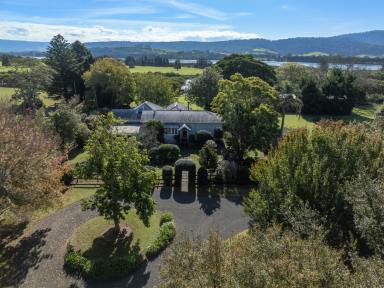 Lifestyle For Sale - NSW - Numbaa - 2540 - 'Carraway' - Shoalhaven River Frontage  (Image 2)