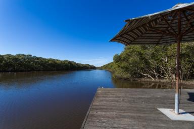 Lifestyle For Sale - NSW - Numbaa - 2540 - 'Carraway' - Shoalhaven River Frontage  (Image 2)