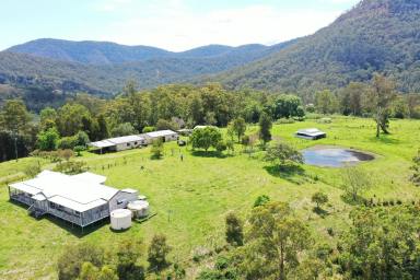 Mixed Farming Auction - NSW - Kyogle - 2474 - AUCTION - 200 ACRES JOINING THE BORDER RANGES  (Image 2)