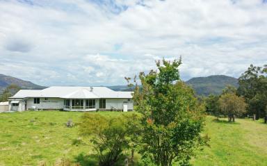 Mixed Farming Auction - NSW - Kyogle - 2474 - AUCTION - 200 ACRES JOINING THE BORDER RANGES  (Image 2)