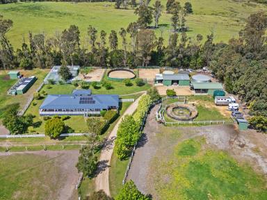 House For Sale - VIC - Sarsfield - 3875 - COUNTRY RETREAT WITH PREMIER EQUESTRIAN FACILITIES  (Image 2)