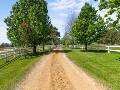 House For Sale - VIC - Sarsfield - 3875 - COUNTRY RETREAT WITH PREMIER EQUESTRIAN FACILITIES  (Image 2)