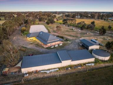 House Sold - VIC - Goornong - 3557 - Equestrian Paradise: Stunning Sandstone Home with Arena, Stables & Horse Safe Paddocks  (Image 2)