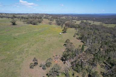 Mixed Farming For Sale - NSW - Merriwa - 2329 - "Cooinda"  (Image 2)