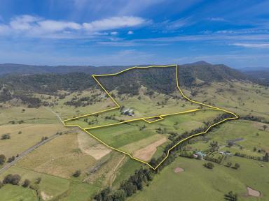 Other (Rural) For Sale - NSW - Vacy - 2421 - Prized Paterson River Frontage, Flats, Water & Production  (Image 2)