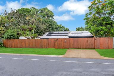 House For Sale - QLD - Palm Cove - 4879 - Character-Filled Home with Side Access, In-ground Pool & No Rear Neighbours!  (Image 2)