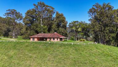 Lifestyle For Sale - NSW - Upper Orara - 2450 - ARCHITECTURAL DESIGN AND ENTERTAINERS’ PARADISE  (Image 2)