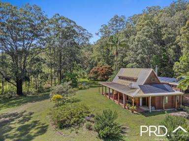 Lifestyle For Sale - NSW - Green Pigeon - 2474 - Secluded Nature Retreat  (Image 2)