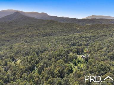 Lifestyle For Sale - NSW - Green Pigeon - 2474 - Secluded Nature Retreat  (Image 2)