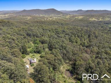 Lifestyle For Sale - NSW - Green Pigeon - 2474 - Secluded Nature Retreat  (Image 2)