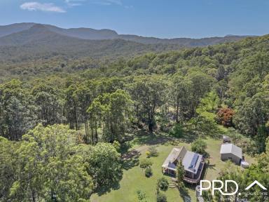 Lifestyle For Sale - NSW - Green Pigeon - 2474 - Secluded Nature Retreat  (Image 2)