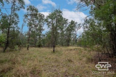 Residential Block Sold - NSW - Torrington - 2371 - Land for Sale in Torrington  (Image 2)