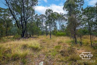 Residential Block Sold - NSW - Torrington - 2371 - Land for Sale in Torrington  (Image 2)