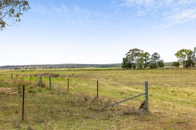 Mixed Farming For Sale - QLD - Ellangowan - 4361 - Well positioned 16.5 acre* blank canvas  (Image 2)