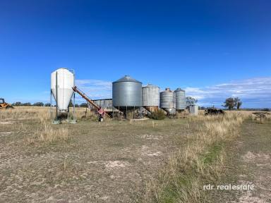 Mixed Farming For Sale - NSW - Ashford - 2361 - 1536 ACRES NEAR PINDARI DAM  (Image 2)