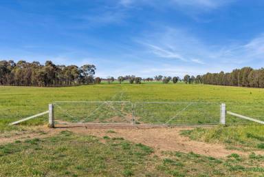 Lifestyle For Sale - VIC - Goornong - 3557 - 338 acres Goornong District  (Image 2)