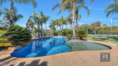 House For Sale - NSW - Moama - 2731 - Style, space & location. This property has it all!  (Image 2)