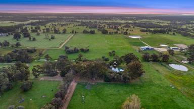 House For Sale - WA - Ambergate - 6280 - Rural Harmony  (Image 2)