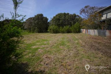 Residential Block For Sale - VIC - Walkerville - 3956 - WALKERVILLE BLOCK AT A REASONABLE PRICE ?  (Image 2)