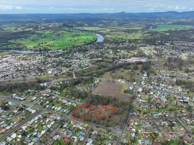 Residential Block For Sale - NSW - Wingham - 2429 - Spacious Block to Build Your Dream Home or Exceptional Greenfield Development Opportunity  (Image 2)