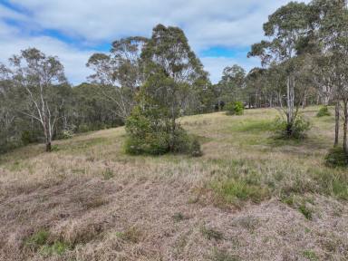 Residential Block For Sale - NSW - Wingham - 2429 - Spacious Block to Build Your Dream Home or Exceptional Greenfield Development Opportunity  (Image 2)