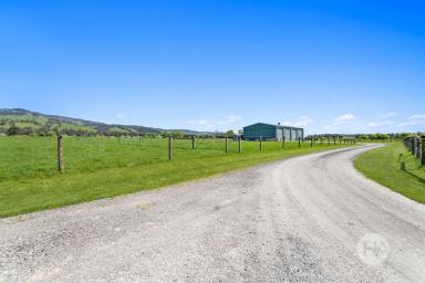 Acreage/Semi-rural For Sale - VIC - Cloverlea - 3822 - 10 Acre Farm Among Spectacular Countryside  (Image 2)