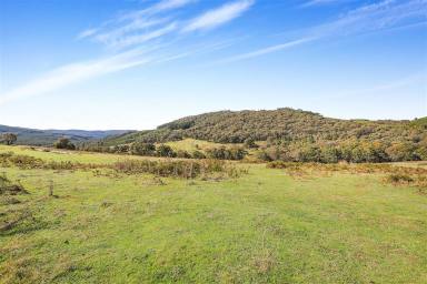 Other (Rural) For Sale - NSW - Tumut - 2720 - Sandy Creek Argalong  (Image 2)