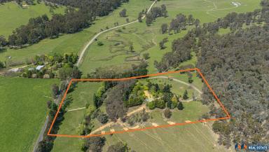 House For Sale - VIC - Myrtleford - 3737 - 12 Acres with Buffalo Views  (Image 2)