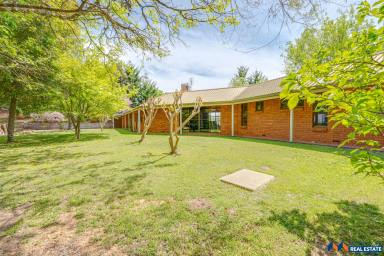 House For Sale - VIC - Myrtleford - 3737 - 12 Acres with Buffalo Views  (Image 2)