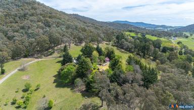 House For Sale - VIC - Myrtleford - 3737 - 12 Acres with Buffalo Views  (Image 2)