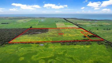 Lifestyle For Sale - VIC - Nirranda South - 3268 - Lifestyle or Outpaddock – Your choice?  (Image 2)