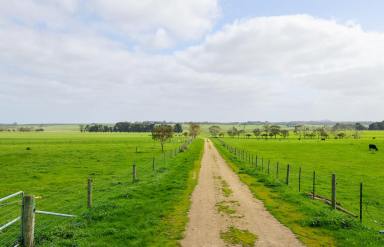 Livestock For Sale - VIC - Macarthur - 3286 - High Rainfall District – Eumeralla River Frontage  (Image 2)