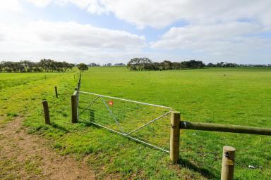 Dairy For Sale - VIC - Macarthur - 3286 - Outstanding High Rainfall Beef & Dairy Country  (Image 2)