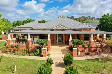 Lifestyle For Sale - NSW - Glenellen - 2642 - Gracious Country Home on Productive Acreage  (Image 2)