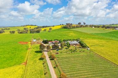 Lifestyle For Sale - NSW - Glenellen - 2642 - Gracious Country Home on Productive Acreage  (Image 2)