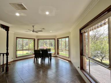 Acreage/Semi-rural For Lease - NSW - Tapitallee - 2540 - 5 Bedrooms on 5 Acers!  (Image 2)