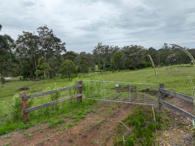 Residential Block For Sale - NSW - Tinonee - 2430 - Build your dream home  (Image 2)