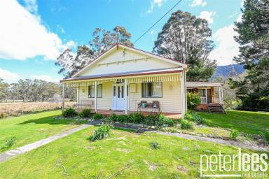 House Sold - TAS - Patersonia - 7259 - Another Property SOLD SMART by Peter Lees Real Estate  (Image 2)