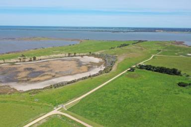 Other (Rural) For Sale - VIC - Broadlands - 3875 - Stunning Water Views: Your Dream Block Awaits!  (Image 2)