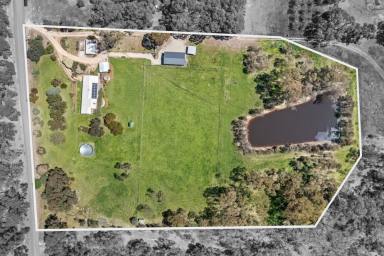 Acreage/Semi-rural For Sale - VIC - Mandurang - 3551 - Mandurang Lifestyle: Solid Brick Home, Huge Sheds, 5KW solar and 8.3meg Water Right  (Image 2)