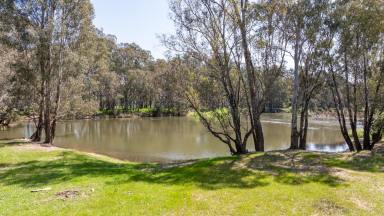 Lifestyle Auction - VIC - Seymour - 3660 - 58 ha with Absolute River Frontage  (Image 2)