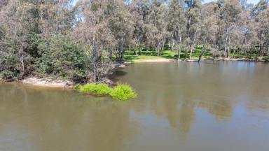 Lifestyle Auction - VIC - Seymour - 3660 - 58 ha with Absolute River Frontage  (Image 2)