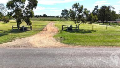 House For Sale - NSW - Boggabri - 2382 - VERSATILE ACREAGE ON 4 TITLES WITH HOME AND SHED!!  (Image 2)