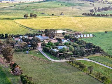 Mixed Farming For Sale - NSW - Cootamundra - 2590 - One Of Cootamundra's Finest Properties  (Image 2)